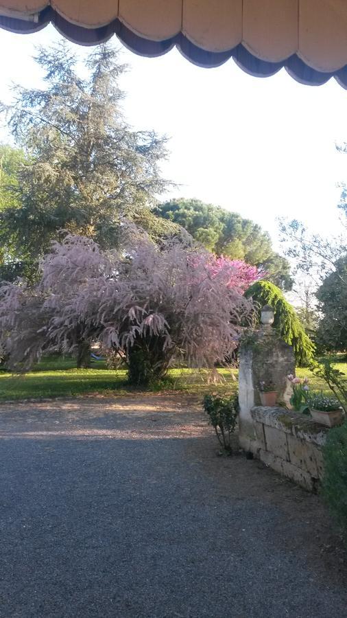 Domaine Mongiron Nérigean Exterior foto